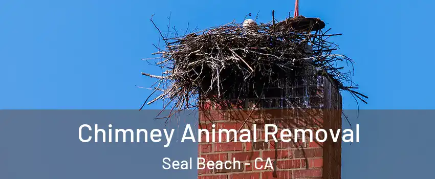  Chimney Animal Removal Seal Beach - CA
