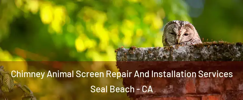  Chimney Animal Screen Repair And Installation Services Seal Beach - CA