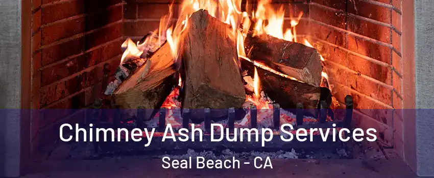  Chimney Ash Dump Services Seal Beach - CA
