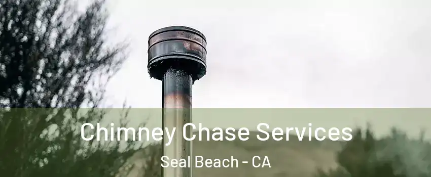  Chimney Chase Services Seal Beach - CA