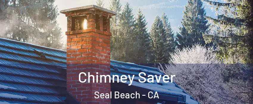  Chimney Saver Seal Beach - CA