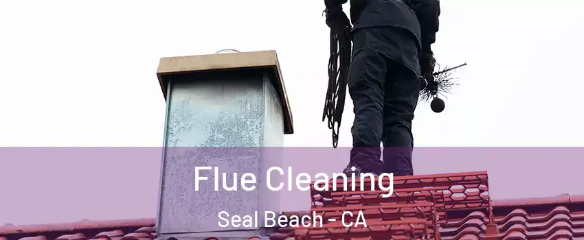  Flue Cleaning Seal Beach - CA