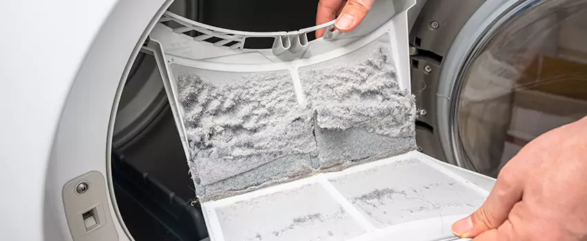 Best Dryer Lint Removal Company in Seal Beach, California