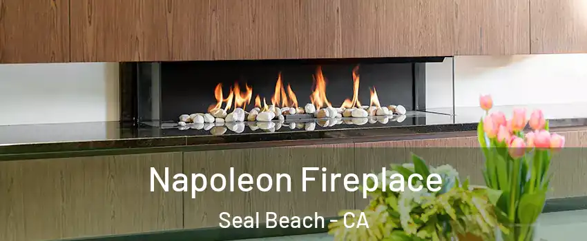  Napoleon Fireplace Seal Beach - CA